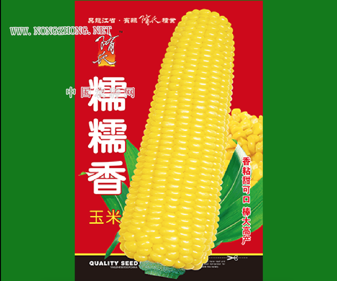 糯糯香玉米